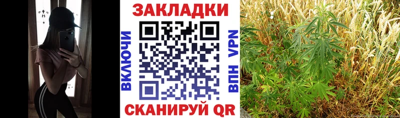 Где продают наркотики Сасово Конопля  МЕФ  КОКАИН  OMG ССЫЛКА  Гашиш  Alpha PVP 