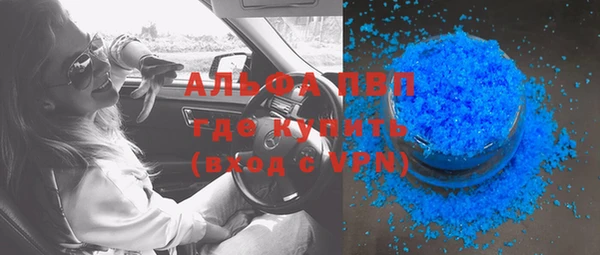 стаф Осинники