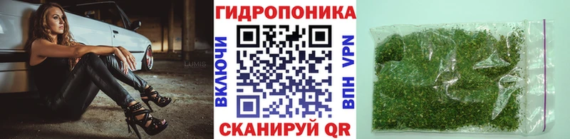 Бошки Шишки семена  сколько стоит  Сасово 